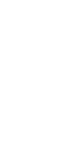 volume icon